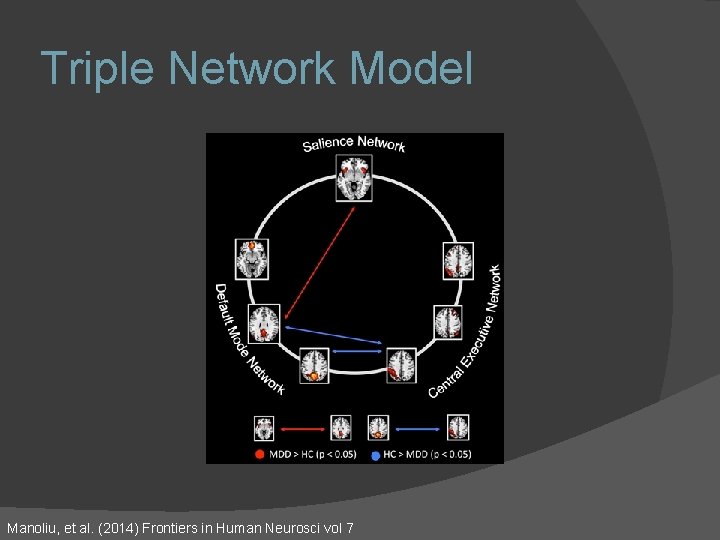 Triple Network Model Manoliu, et al. (2014) Frontiers in Human Neurosci vol 7 Triple Network Model Manoliu, et al. (2014) Frontiers in Human Neurosci vol 7