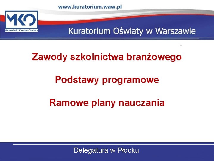 Zawody szkolnictwa branżowego Podstawy programowe Ramowe plany nauczania Delegatura w Płocku 