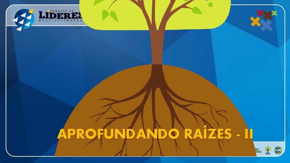 APROFUNDANDO RAÍZES - II 
