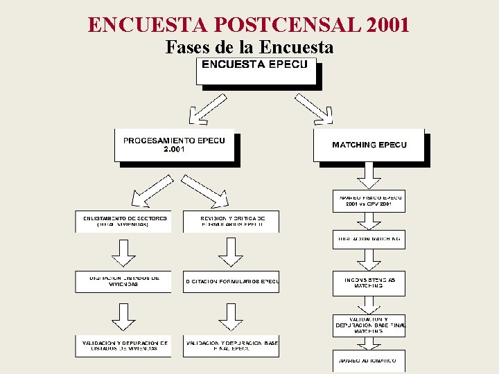 ENCUESTA POSTCENSAL 2001 Fases de la Encuesta 