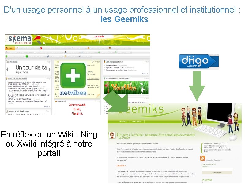 D'un usage personnel à un usage professionnel et institutionnel : les Geemiks En réflexion