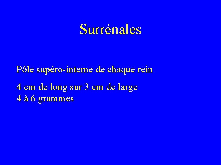 Surrénales Pôle supéro-interne de chaque rein 4 cm de long sur 3 cm de