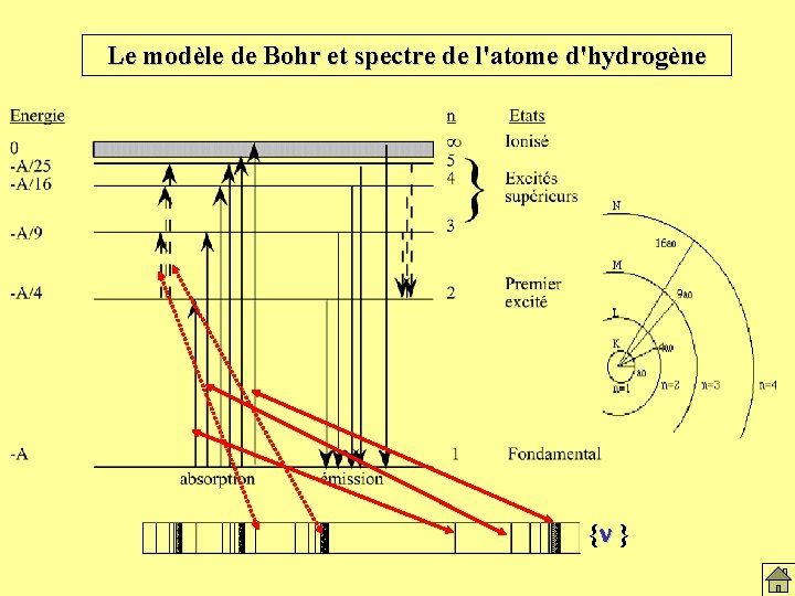 Le modèle de Bohr et atome H 2 Le modèle de Bohr et spectre Le modèle de Bohr et atome H 2 Le modèle de Bohr et spectre