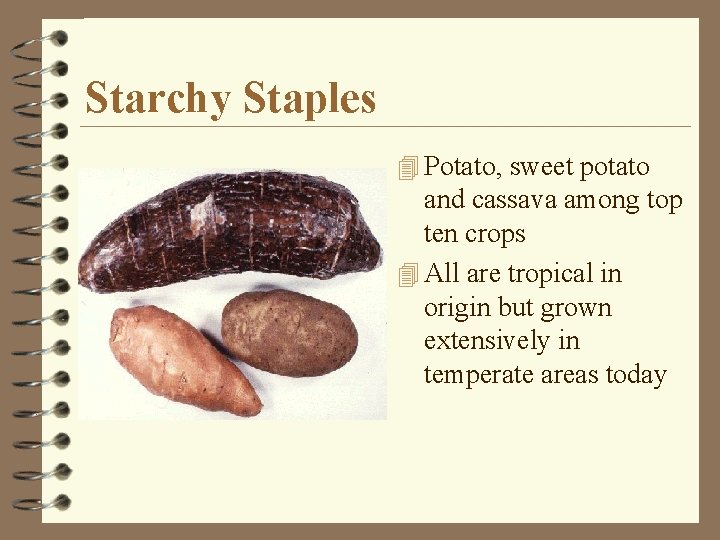Starchy Staples 4 Potato, sweet potato and cassava among top ten crops 4 All