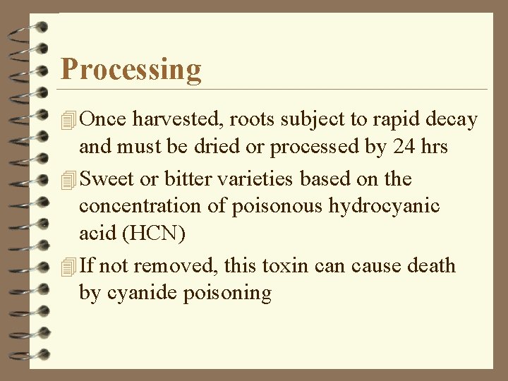 Processing 4 Once harvested, roots subject to rapid decay and must be dried or