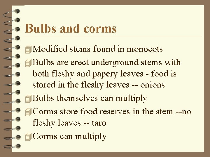 Bulbs and corms 4 Modified stems found in monocots 4 Bulbs are erect underground