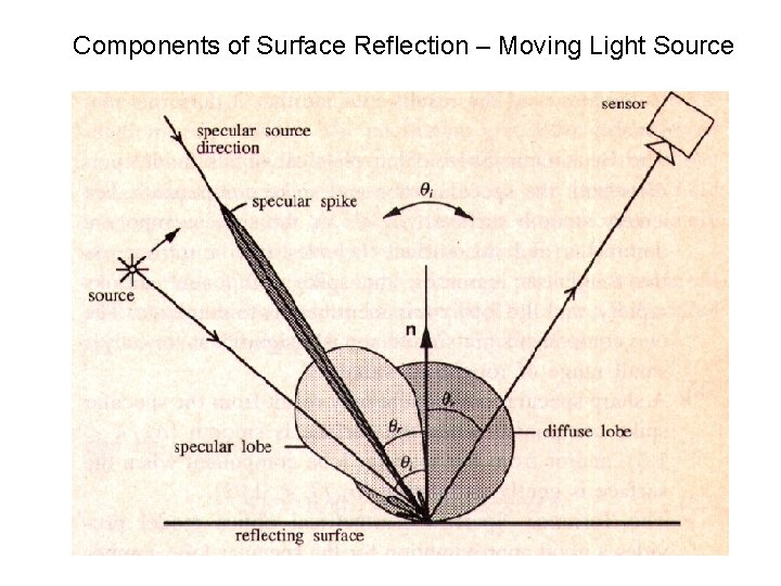 Components of Surface Reflection – Moving Light Source 