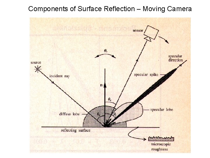 Components of Surface Reflection – Moving Camera 