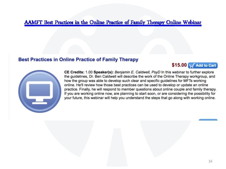 AAMFT Best Practices in the Online Practice of Family Therapy Online Webinar 16 