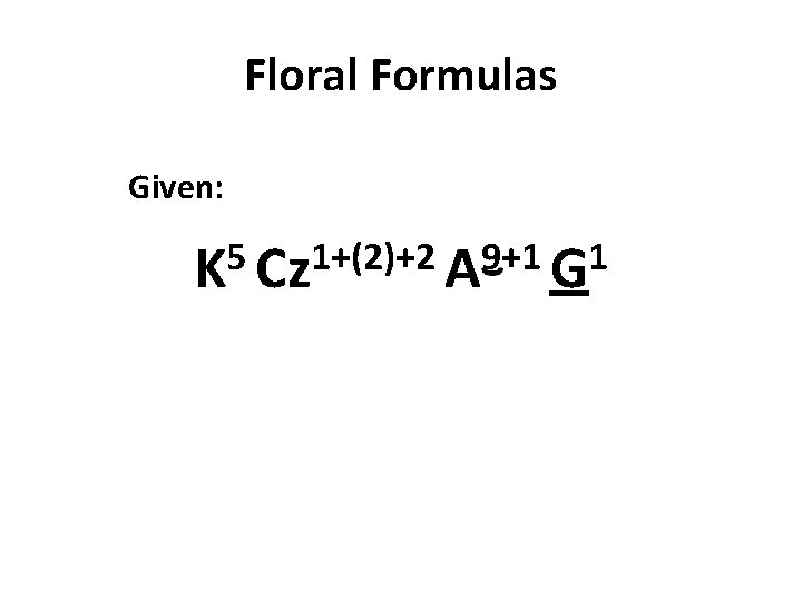 Floral Formulas Given: 5 1+(2)+2 9+1 1 K Cz A G Floral Formulas Given: 5 1+(2)+2 9+1 1 K Cz A G
