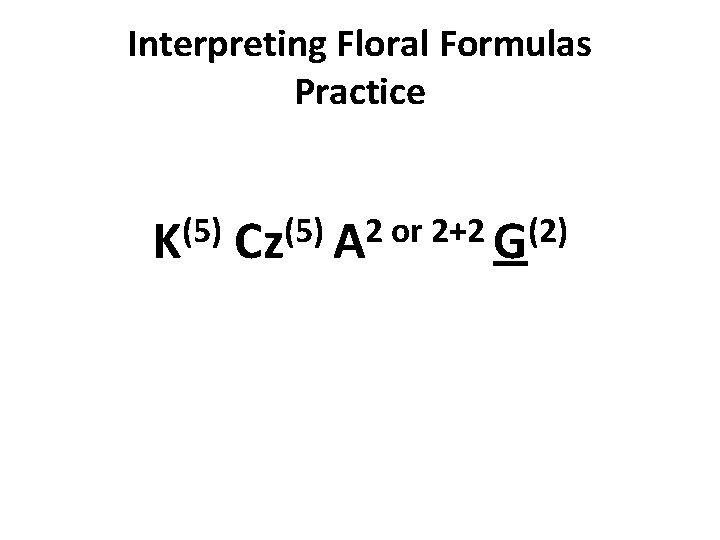 Interpreting Floral Formulas Practice (5) K (5) 2 or 2+2 (2) Cz A G Interpreting Floral Formulas Practice (5) K (5) 2 or 2+2 (2) Cz A G