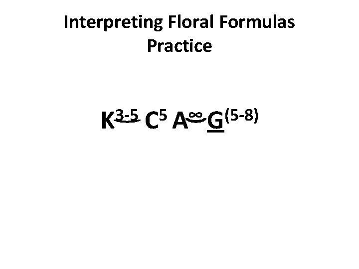 Interpreting Floral Formulas Practice 3 -5 K 5 ∞ (5 -8) C A G Interpreting Floral Formulas Practice 3 -5 K 5 ∞ (5 -8) C A G