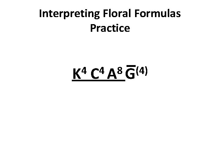 Interpreting Floral Formulas Practice 4 K 4 8 (4) C A G Interpreting Floral Formulas Practice 4 K 4 8 (4) C A G