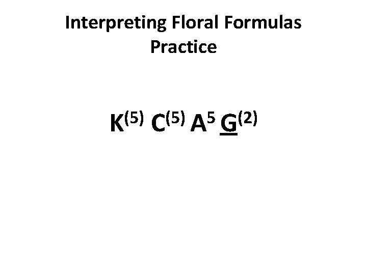 Interpreting Floral Formulas Practice (5) K (5) 5 (2) C A G Interpreting Floral Formulas Practice (5) K (5) 5 (2) C A G
