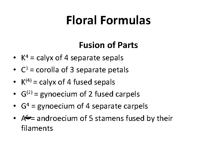 Floral Formulas Fusion of Parts • • • K 4 = calyx of 4 Floral Formulas Fusion of Parts • • • K 4 = calyx of 4