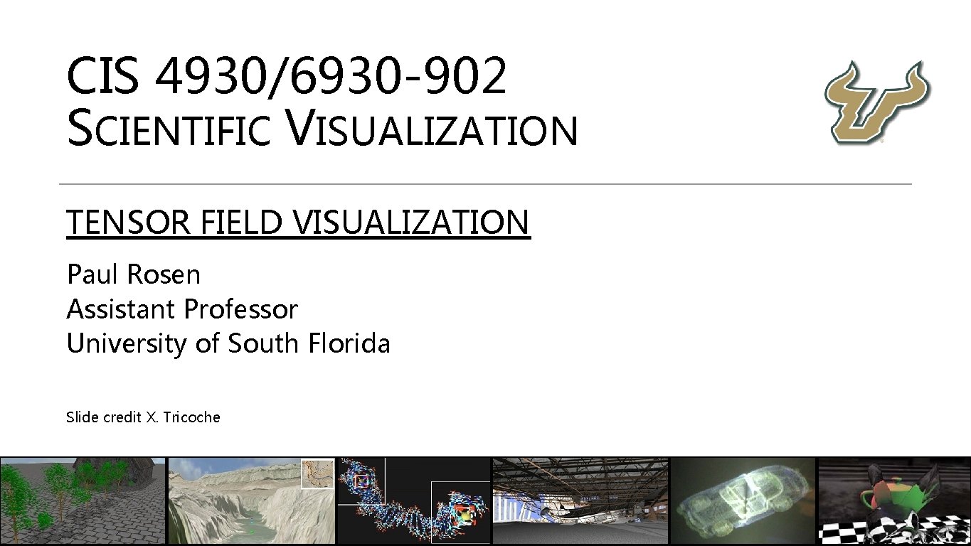 CIS 4930/6930 -902 SCIENTIFIC VISUALIZATION TENSOR FIELD VISUALIZATION Paul Rosen Assistant Professor University of