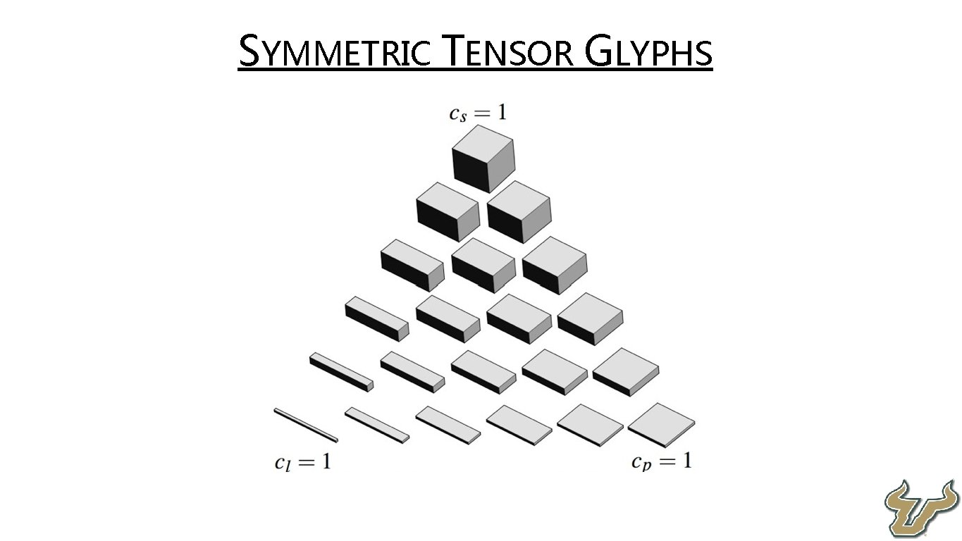  • SYMMETRIC TENSOR GLYPHS 