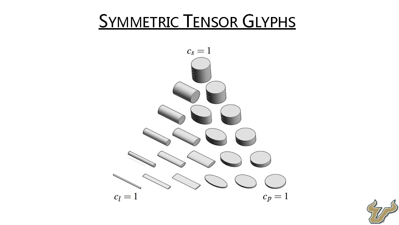  • SYMMETRIC TENSOR GLYPHS 