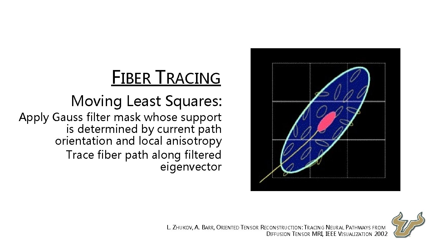  • FIBER TRACING • Moving Least Squares: • Apply Gauss filter mask whose