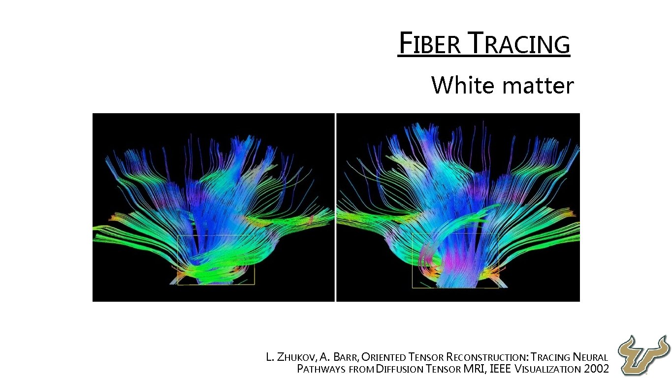 • FIBER TRACING • White matter • L. ZHUKOV, A. BARR, ORIENTED TENSOR