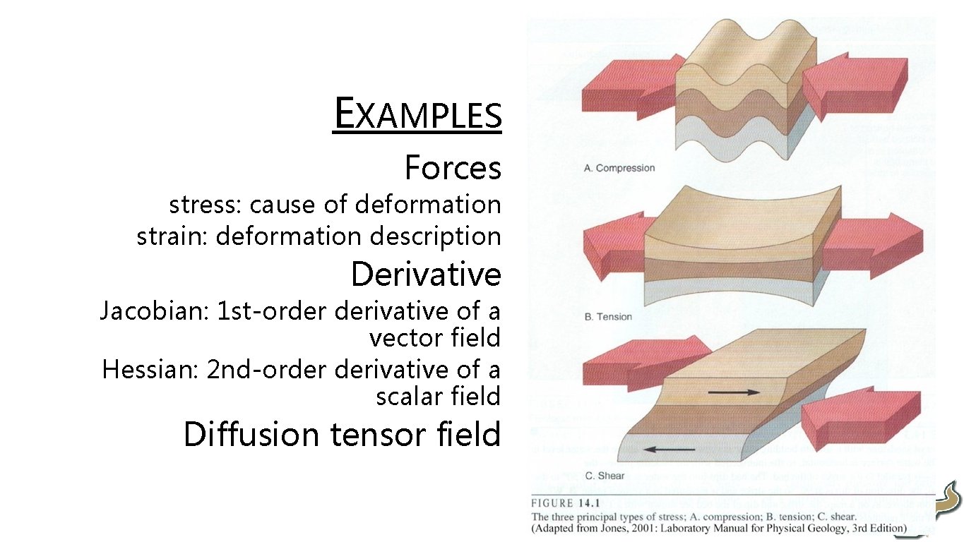  • EXAMPLES • Forces • stress: cause of deformation • strain: deformation description