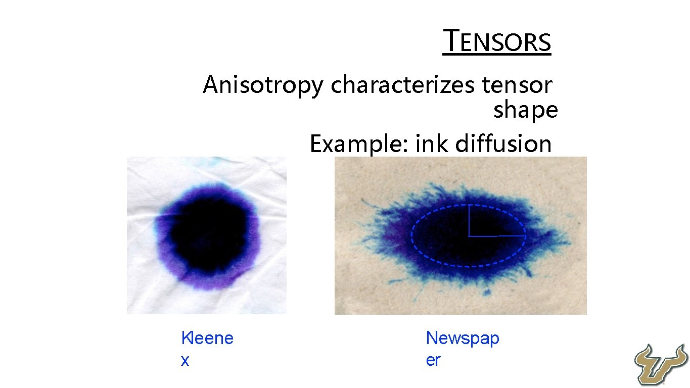  • • TENSORS Anisotropy characterizes tensor shape Example: ink diffusion • Kleene x