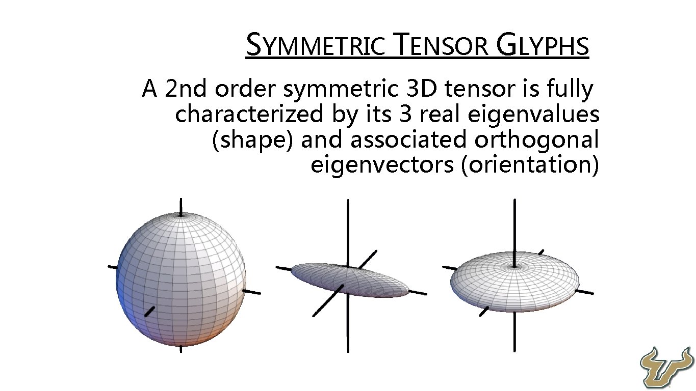  • • SYMMETRIC TENSOR GLYPHS A 2 nd order symmetric 3 D tensor