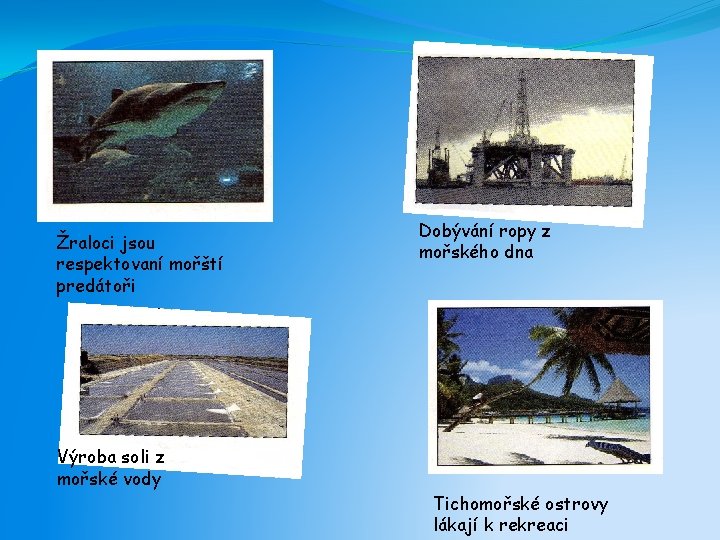 Žraloci jsou respektovaní mořští predátoři Výroba soli z mořské vody Dobývání ropy z mořského