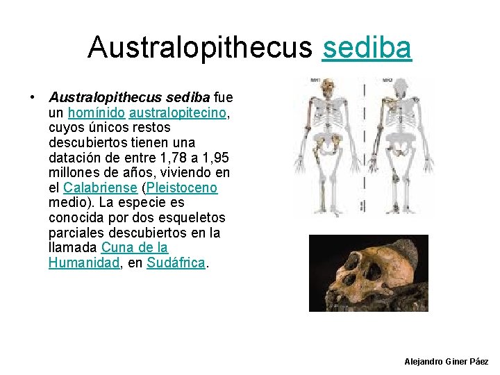 Australopithecus sediba • Australopithecus sediba fue un homínido australopitecino, cuyos únicos restos descubiertos tienen