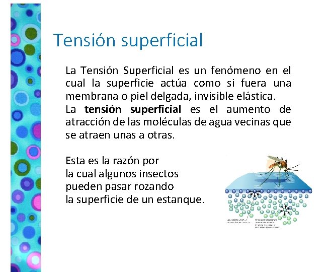 Tensión superficial La Tensión Superficial es un fenómeno en el cual la superficie actúa