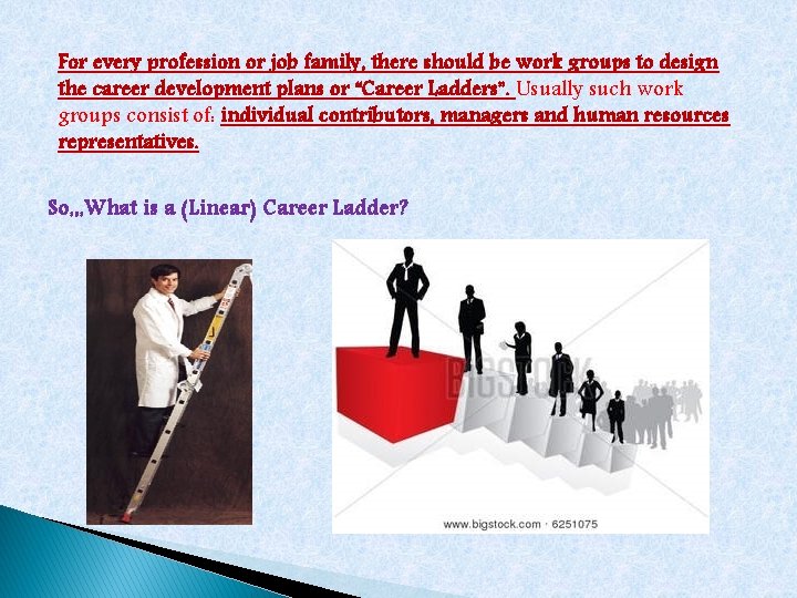 For every profession or job family, there should be work groups to design the