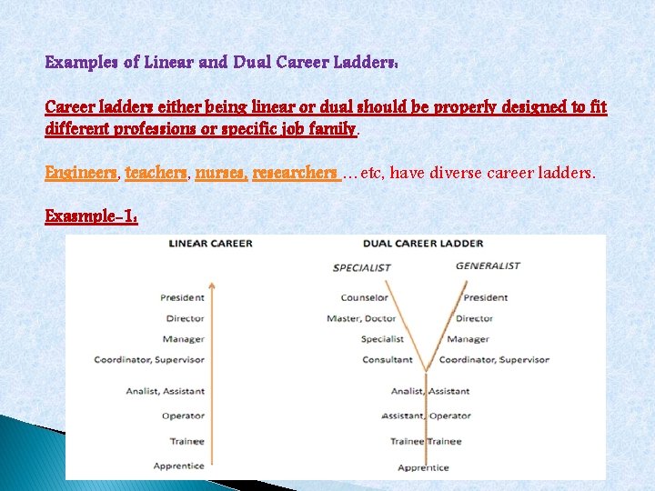 Examples of Linear and Dual Career Ladders: Career ladders either being linear or dual