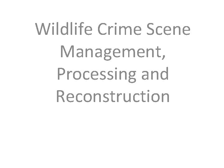 Wildlife Crime Scene Management, Processing and Reconstruction 