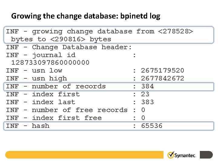 Growing the change database: bpinetd log INF - growing change database from <278528> bytes