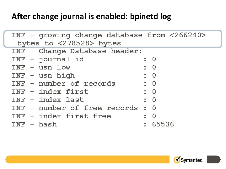 After change journal is enabled: bpinetd log INF - growing change database from <266240>