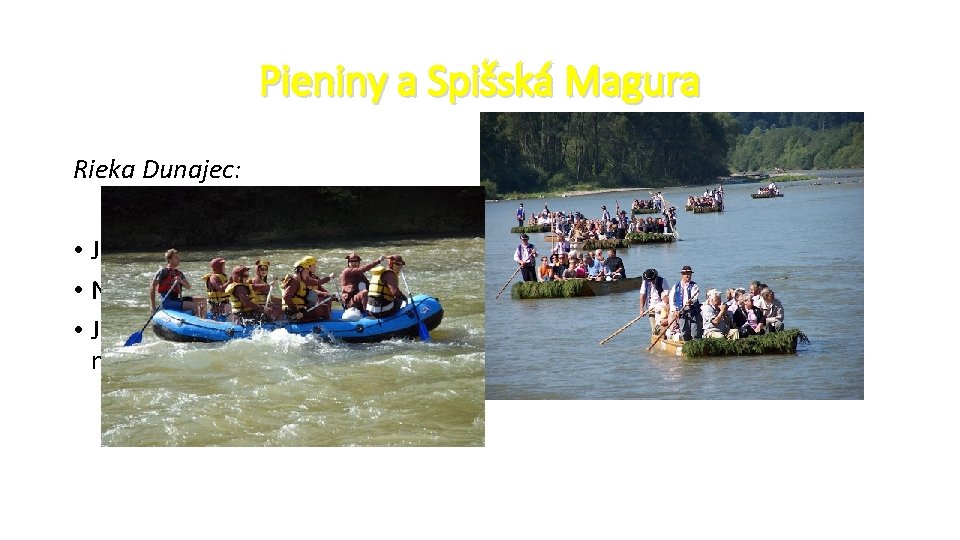Pieniny a Spišská Magura Rieka Dunajec: • Je dravá rieka, ktorá sa splavuje na Pieniny a Spišská Magura Rieka Dunajec: • Je dravá rieka, ktorá sa splavuje na