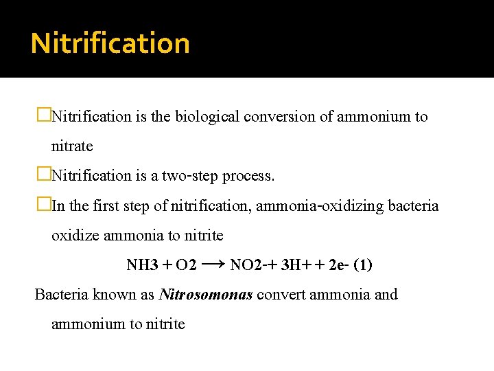 Nitrification �Nitrification is the biological conversion of ammonium to nitrate �Nitrification is a two-step