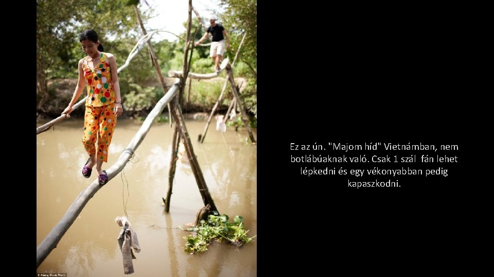 Ez az ún. "Majom híd" Vietnámban, nem botlábúaknak való. Csak 1 szál fán lehet