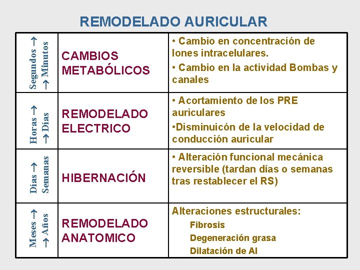 Meses Años Días Semanas Horas Días Segundos Minutos REMODELADO AURICULAR CAMBIOS METABÓLICOS • Cambio