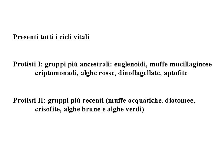 Presenti tutti i cicli vitali Protisti I: gruppi più ancestrali: euglenoidi, muffe mucillaginose criptomonadi,