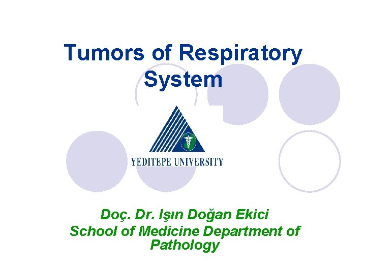 Tumors of Respiratory System Doç. Dr. Işın Doğan Ekici School of Medicine Department of Tumors of Respiratory System Doç. Dr. Işın Doğan Ekici School of Medicine Department of
