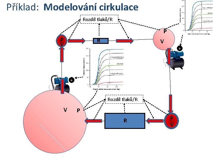 Příklad: Modelování cirkulace Rozdíl tlaků/R P P V R V + + Rozdíl tlaků/R