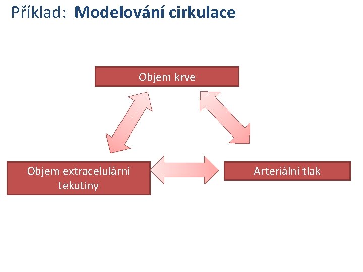 Příklad: Modelování cirkulace Objem krve Objem extracelulární tekutiny Arteriální tlak 