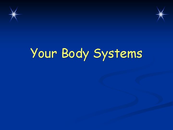 Your Body Systems 