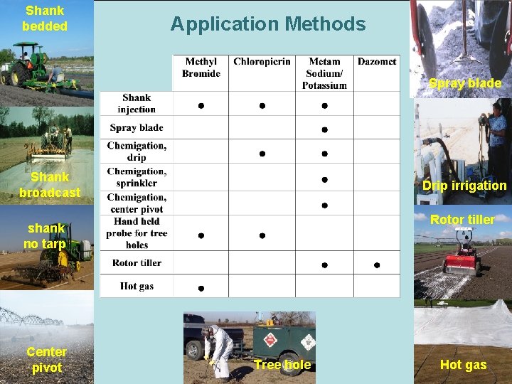 Shank bedded Application Methods Spray blade Shank broadcast Drip irrigation Rotor tiller shank no Shank bedded Application Methods Spray blade Shank broadcast Drip irrigation Rotor tiller shank no