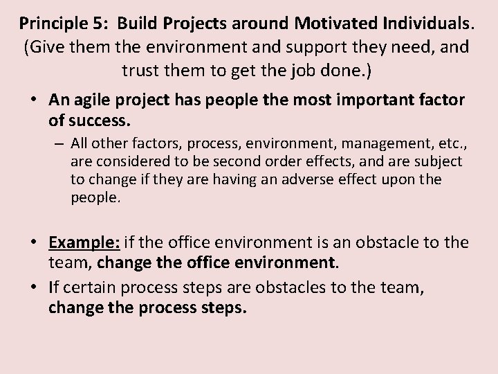 Principle 5: Build Projects around Motivated Individuals. (Give them the environment and support they