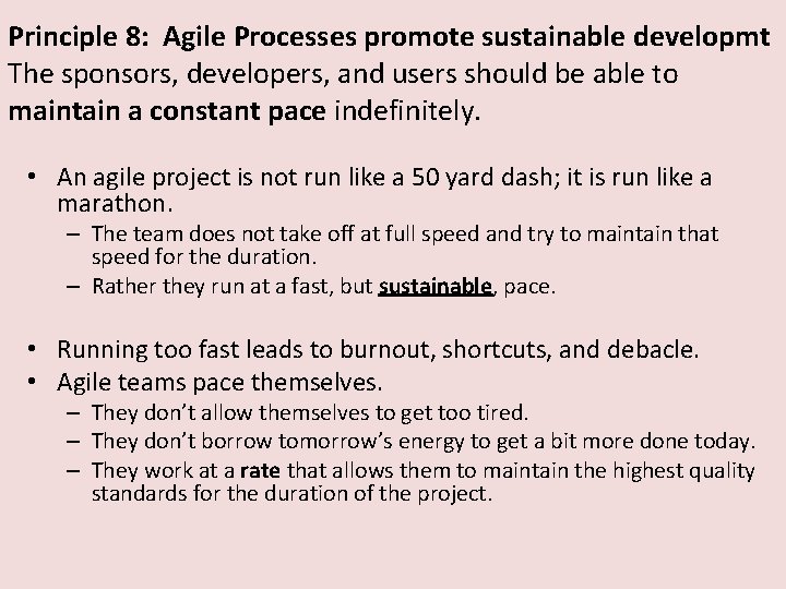 Principle 8: Agile Processes promote sustainable developmt The sponsors, developers, and users should be