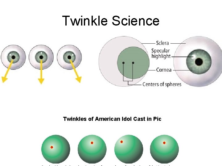 Twinkle Science Twinkles of American Idol Cast in Pic 