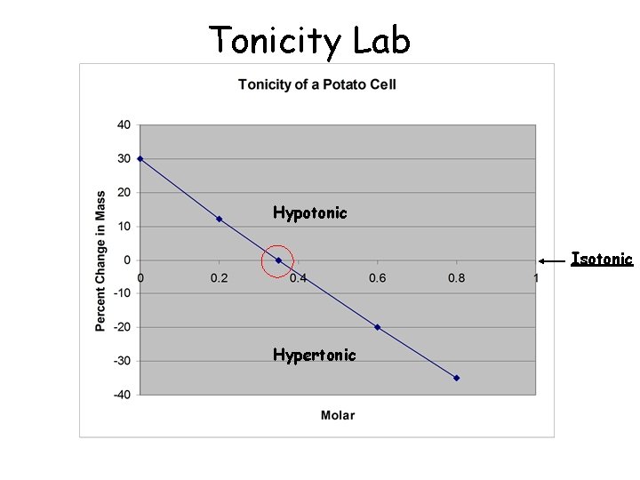 Tonicity Lab Hypotonic Isotonic Hypertonic Tonicity Lab Hypotonic Isotonic Hypertonic