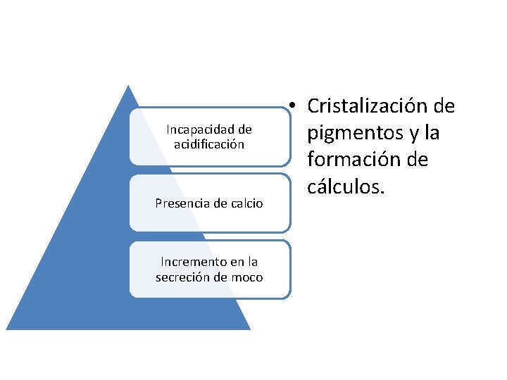 Incapacidad de acidificación Presencia de calcio Incremento en la secreción de moco • Cristalización Incapacidad de acidificación Presencia de calcio Incremento en la secreción de moco • Cristalización